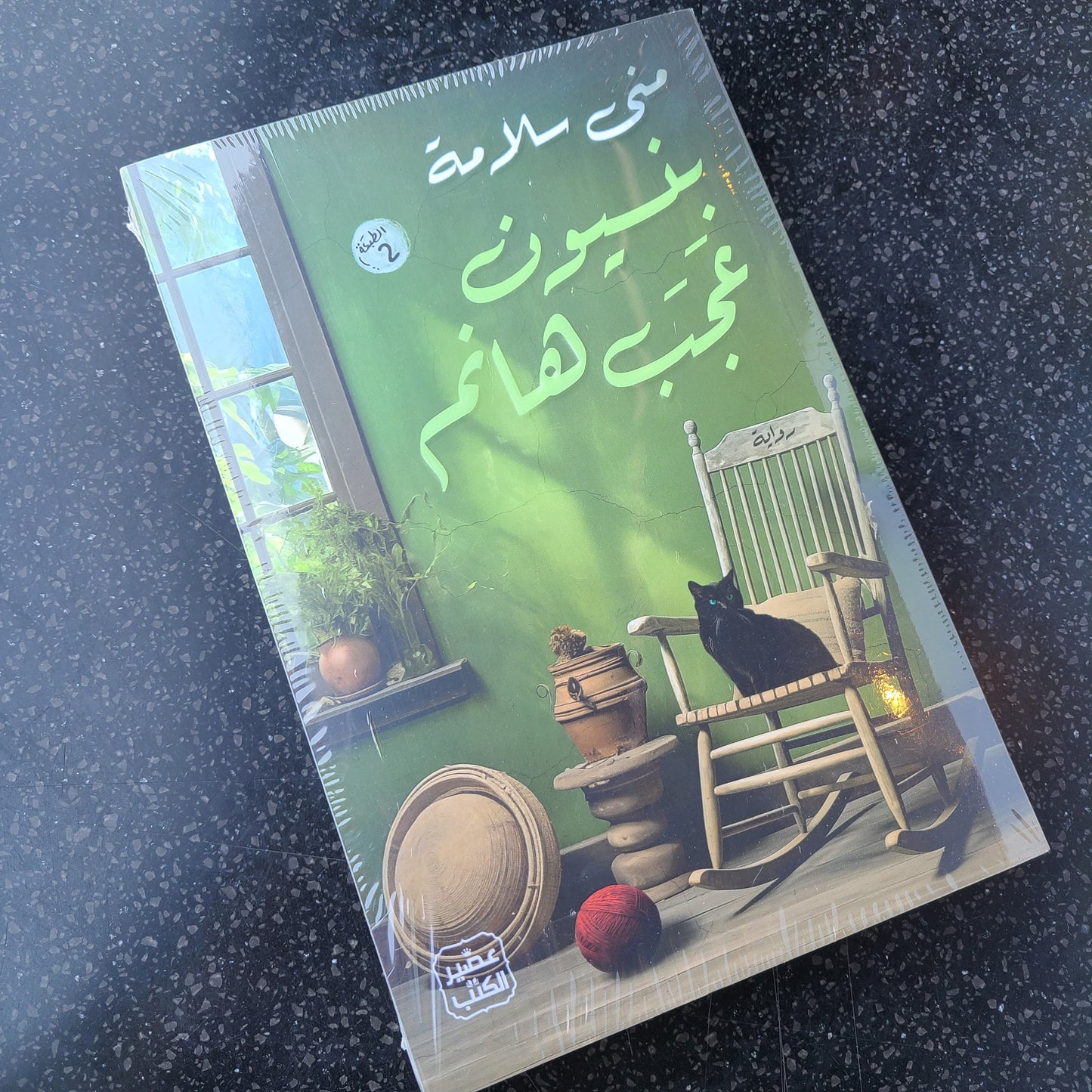 كتاب بنسيون عجب هانم