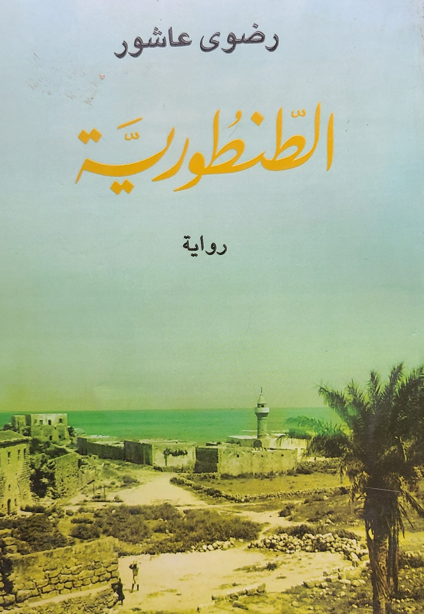 كتاب الطنطورية